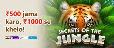Diwali Dhamaka Bonus 🪔 promotion
